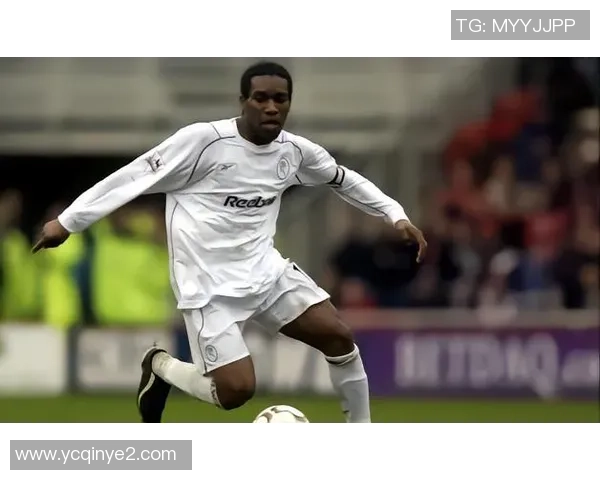 喀麦隆足球明星的辉煌历程与传奇故事探秘