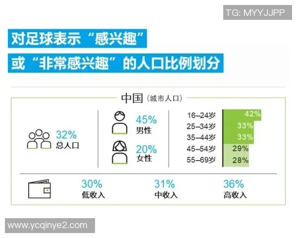 当前日本足球明星的崛起与未来发展趋势分析